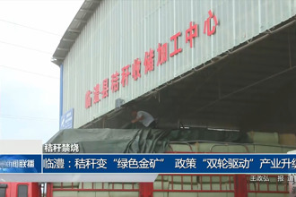 臨澧：秸稈變“綠色金礦” 政策“雙輪驅(qū)動(dòng)”產(chǎn)業(yè)升級(jí)