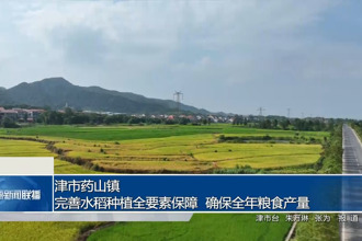 津市藥山鎮(zhèn)：完善水稻種植全要素保障 確保全年糧食產(chǎn)量