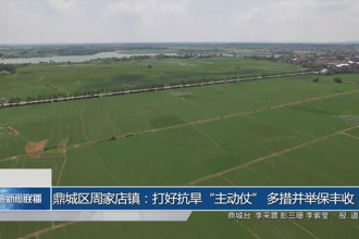 鼎城區(qū)周家店鎮(zhèn)：打好抗旱“主動(dòng)仗” 多措并舉保豐收