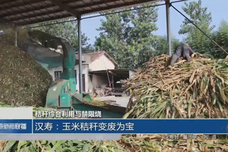 漢壽：玉米秸稈變廢為寶