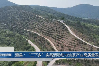 澧縣：“三下鄉(xiāng)”實踐活動助力油茶產(chǎn)業(yè)高質(zhì)量發(fā)展
