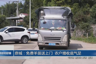 鼎城：免費羊苗送上門 農(nóng)戶增收底氣足