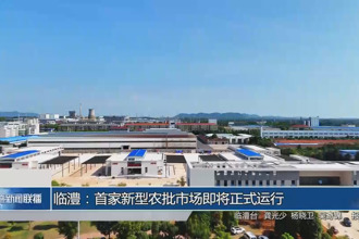 臨澧：首家新型農(nóng)批市場即將正式運行