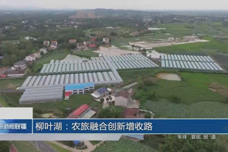 柳葉湖：農(nóng)旅融合創(chuàng)新增收路