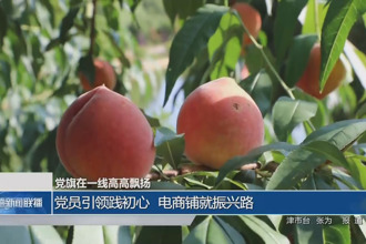 黨員引領踐初心 電商鋪就振興路