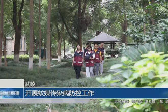 武陵：開展蚊媒傳染病防控工作