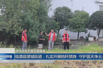 臨澧縣望城街道:扎實(shí)開展秸稈禁燒 守護(hù)藍(lán)天凈土