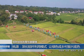 桃源:深化秸稈利用模式 讓綠色成鄉(xiāng)村振興底色