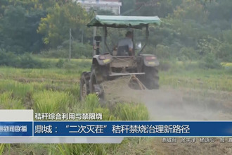 鼎城:“二次滅茬”秸稈禁燒治理新路徑