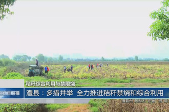 澧縣:多措并舉 全力推進(jìn)秸稈禁燒和綜合利用