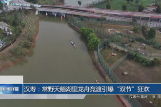 漢壽:常野天鵝湖里龍舟競渡引爆“雙節(jié)”狂歡
