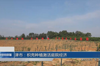 津市:枳殼種植激活庭院經(jīng)濟