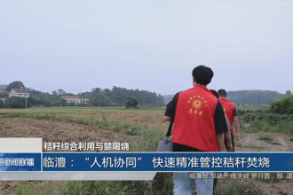 臨澧:“人機協(xié)同” 快速精準管控秸稈焚燒