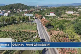 石門:欒樹映秋 繪就城市詩(shī)意畫卷