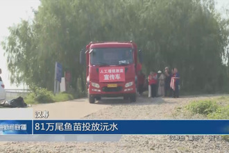 漢壽:81萬尾魚苗投放沅水