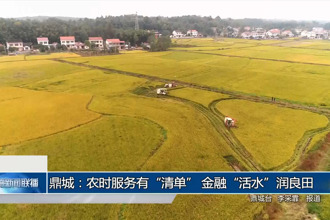 鼎城：農(nóng)時(shí)服務(wù)有“清單” 金融“活水”潤(rùn)豐糧